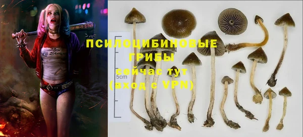 кокс Осинники