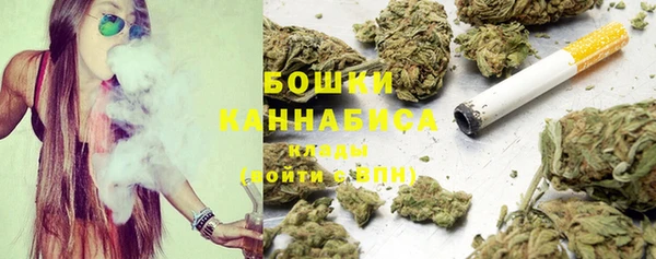 прущий лед Пестово