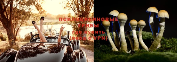 МДМА Осташков