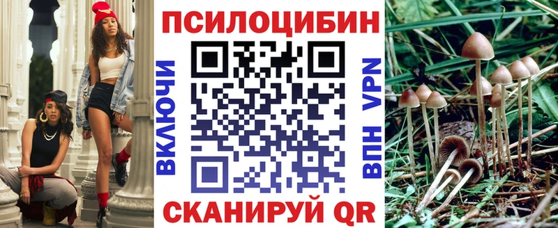 Галлюциногенные грибы Psilocybine cubensis  где купить наркотик  Чкаловск 